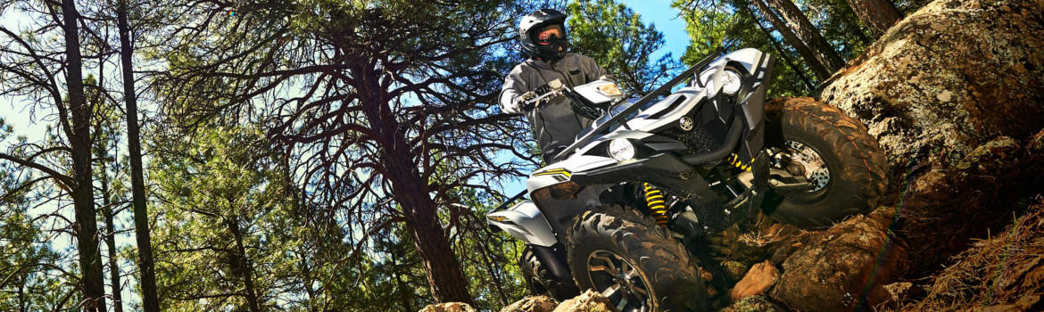 /2017 Yamaha ATVs for sale in Cycle Center, Huntington, West Virginia